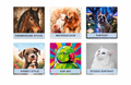 Custom Pet Portrait Magnet | Personalised Photo Magnet | Choose Your Art Style | Handmade in Australia